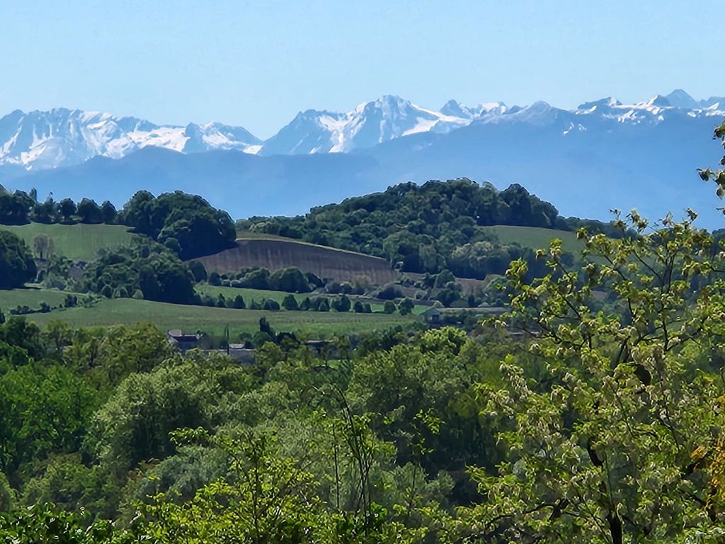 Snow-capped Pyrenees above green Béarn hills